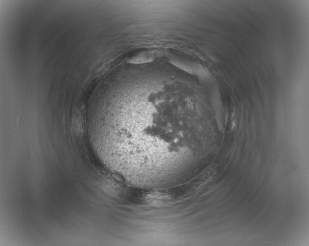 X0000061740515200512161653