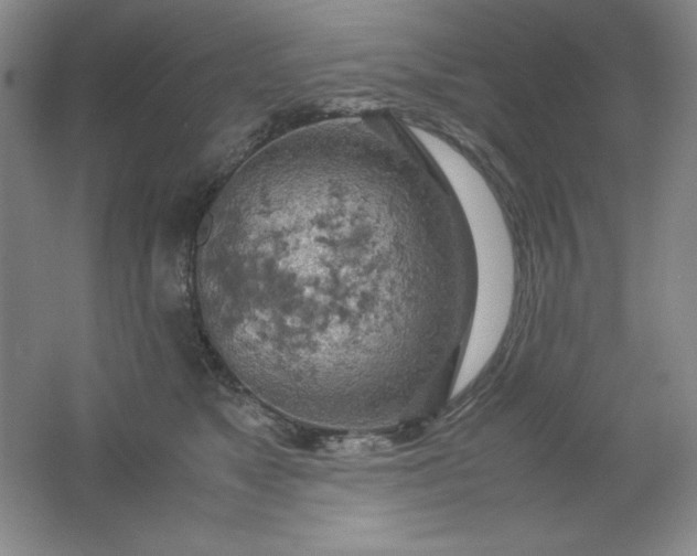 X0000061740517200512161653