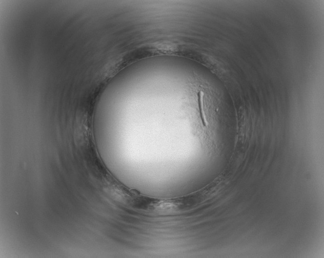 X0000061740518200512161653