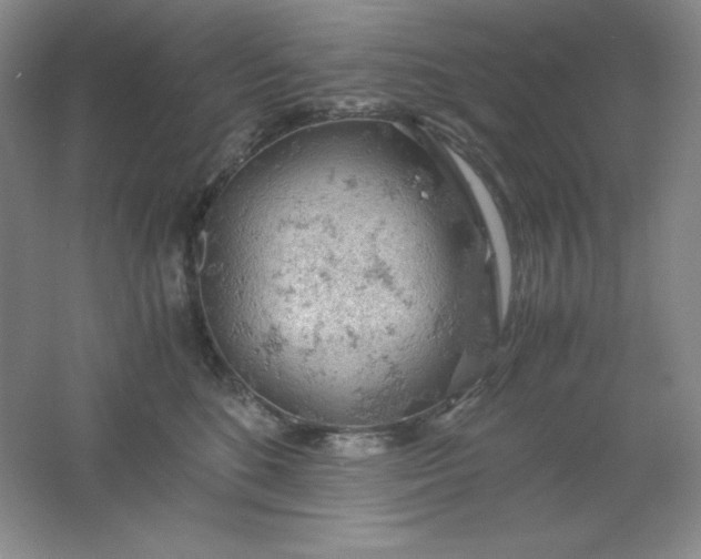 X0000061740520200512161653