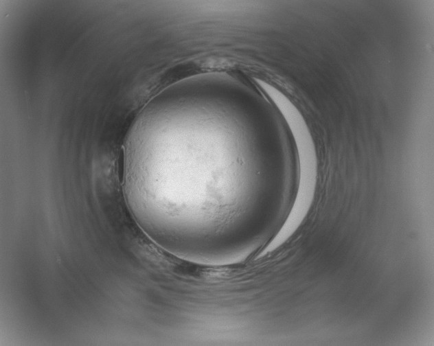 X0000061740521200512161653