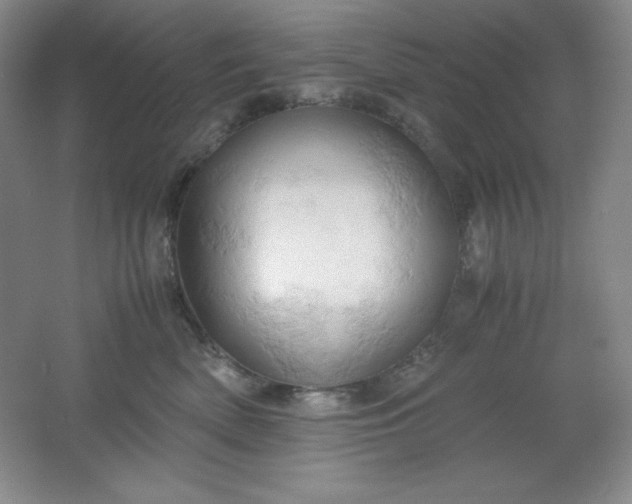 X0000061740522200512161653