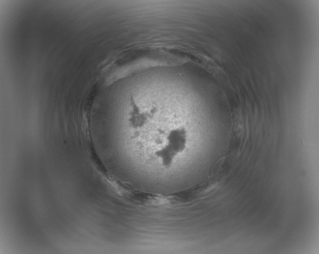 X0000061740523200512161653