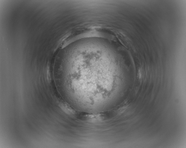 X0000061740524200512161653