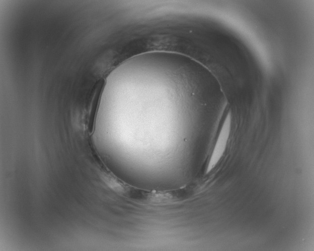 X0000061740525200512161653