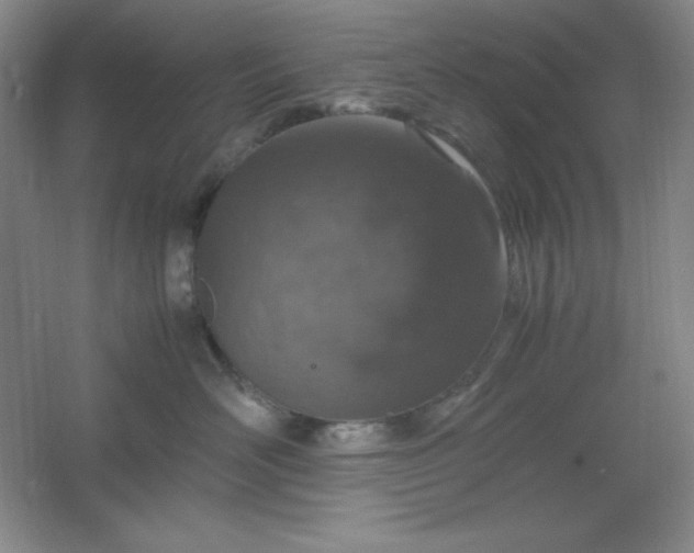 X0000061740526200512161653