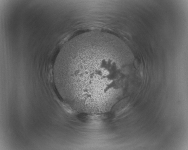 X0000061740527200512161653