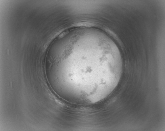 X0000061740529200512161652