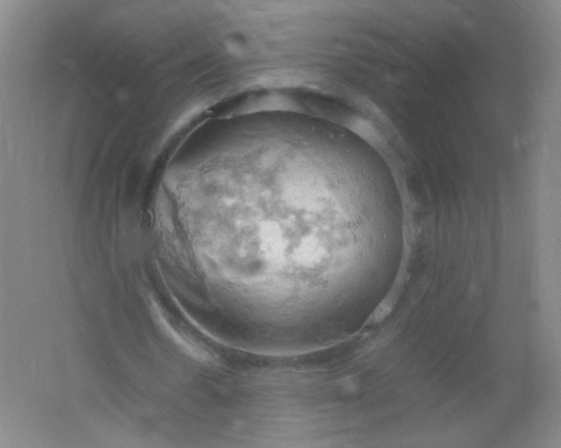 X0000061740530200512161652