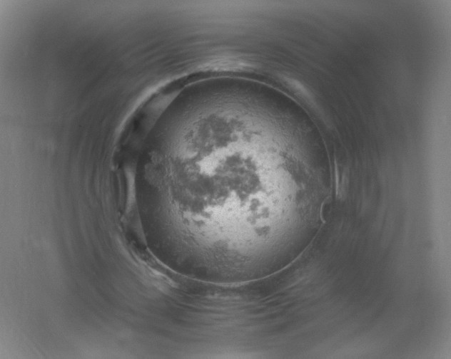 X0000061740531200512161652