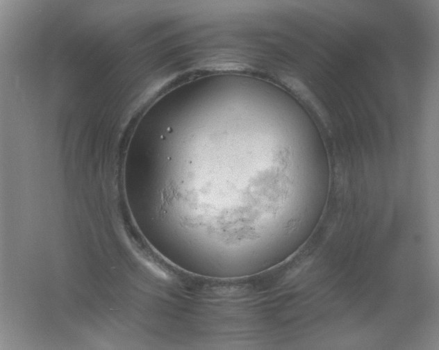 X0000061740533200512161652