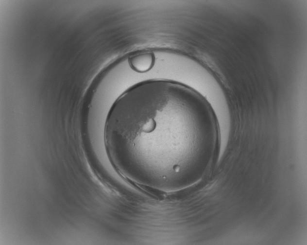 X0000061740534200512161652