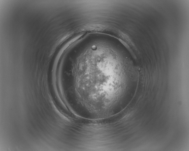 X0000061740538200512161652