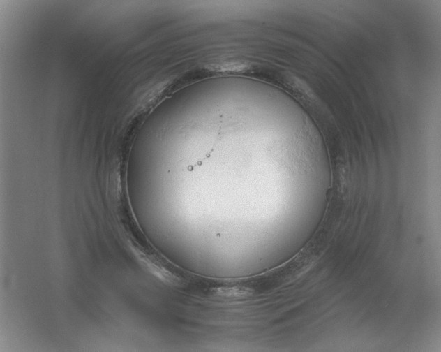 X0000061740541200512161652