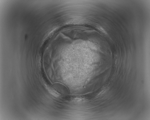 X0000061740542200512161652