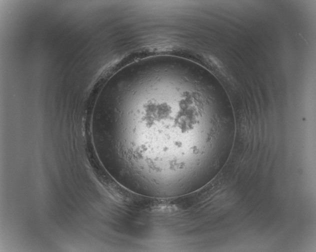 X0000061740543200512161652