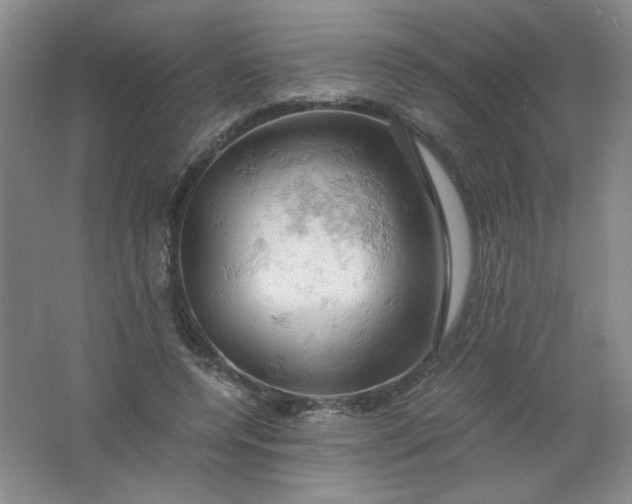 X0000061740544200512161652