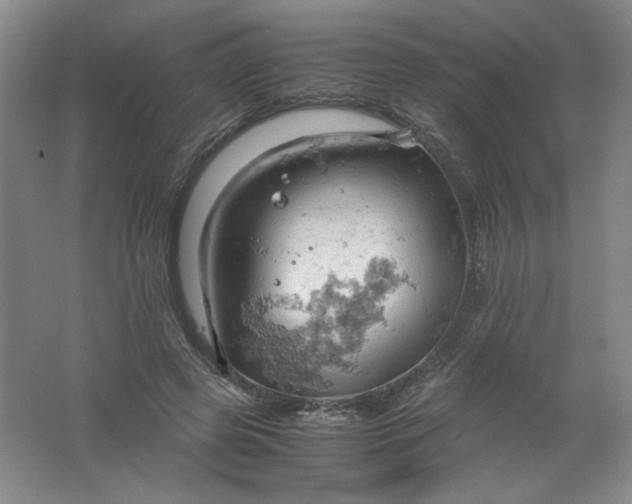 X0000061740545200512161652