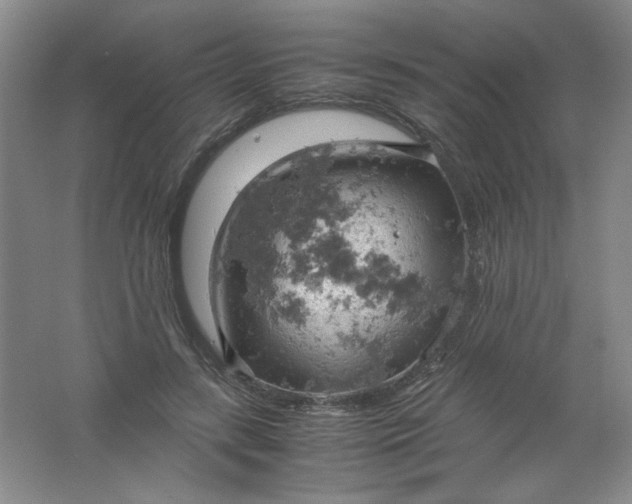 X0000061740547200512161652