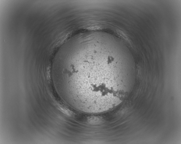 X0000061740549200512161652