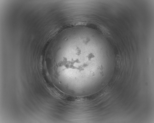 X0000061740550200512161652