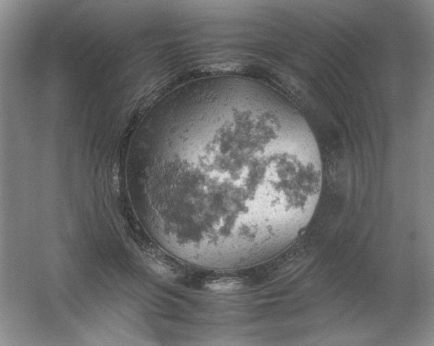 X0000061740551200512161652