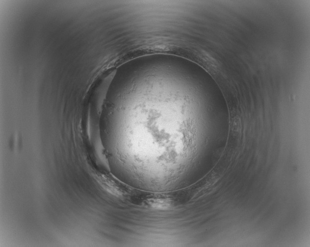 X0000061740552200512161652