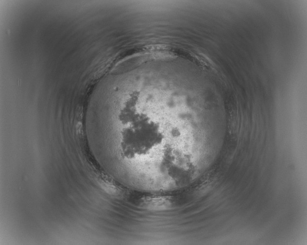 X0000061740553200512161652