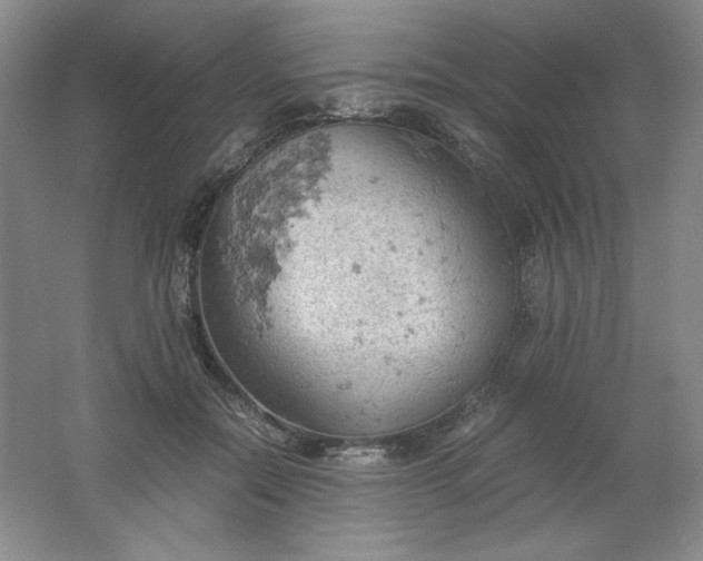 X0000061740554200512161652