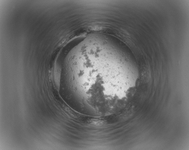 X0000061740555200512161652