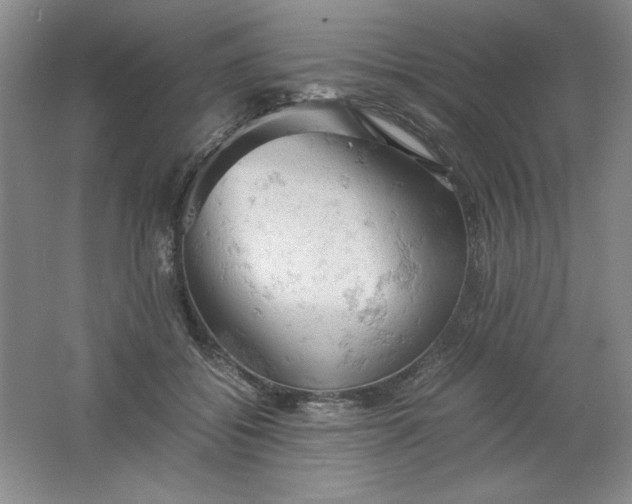 X0000061740556200512161652