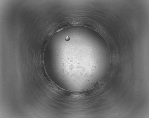 X0000061740557200512161653