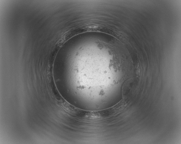 X0000061740559200512161653