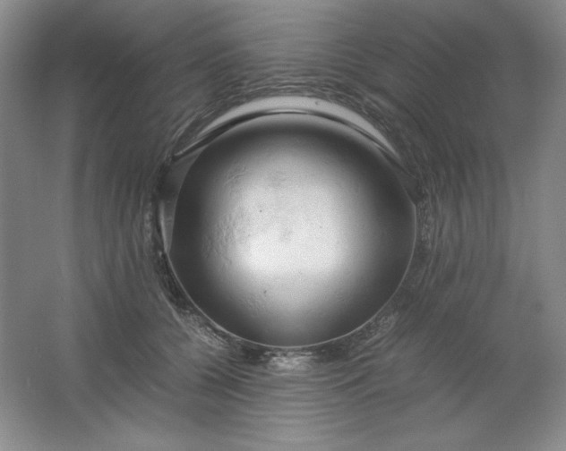 X0000061740560200512161653