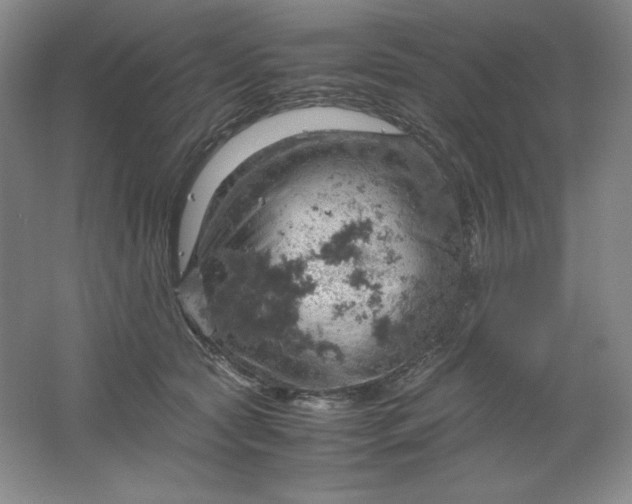 X0000061740561200512161653