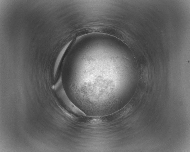 X0000061740562200512161653