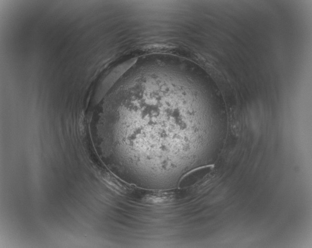 X0000061740563200512161653