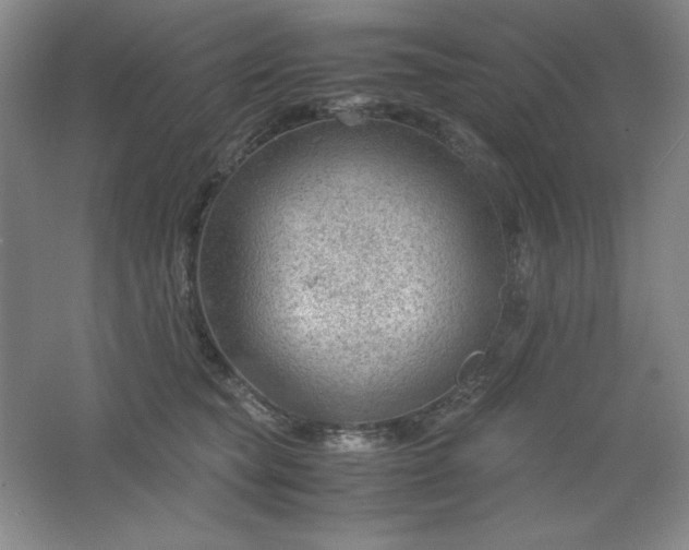 X0000061740565200512161653