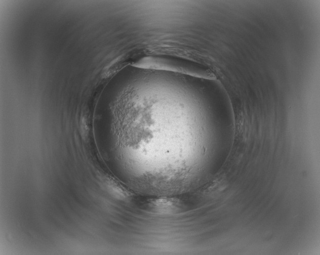 X0000061740566200512161653