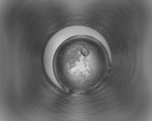 X0000061740568200512161653