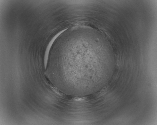 X0000061740569200512161653