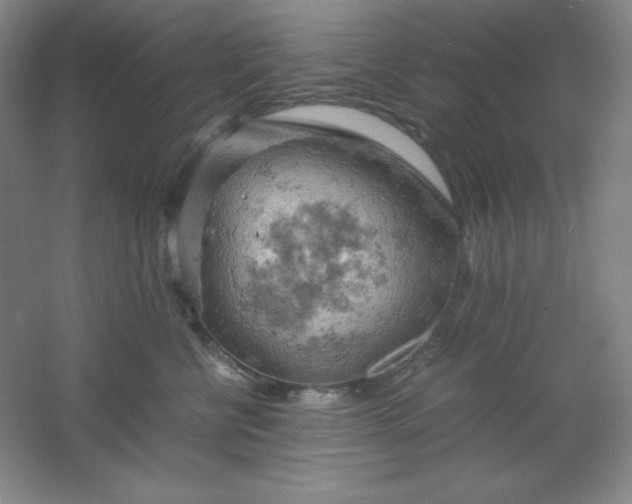 X0000061740570200512161653