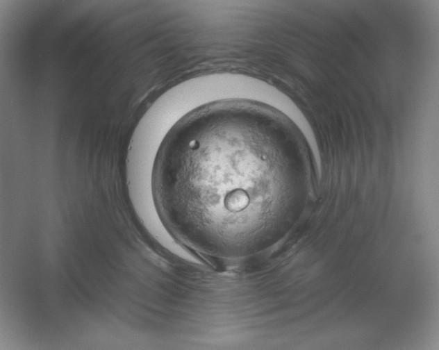 X0000061740572200512161653