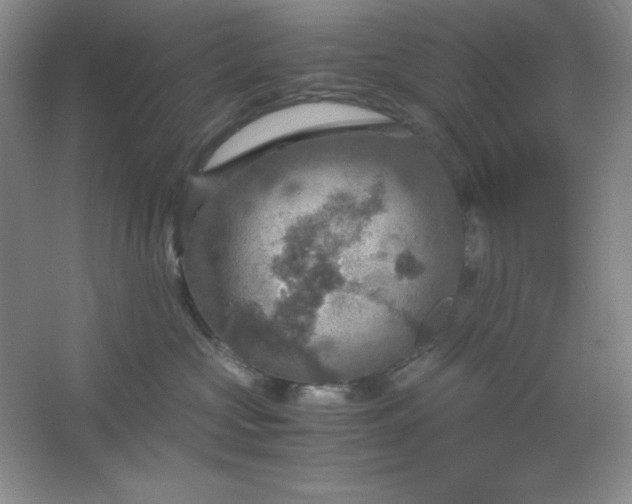 X0000061740573200512161653