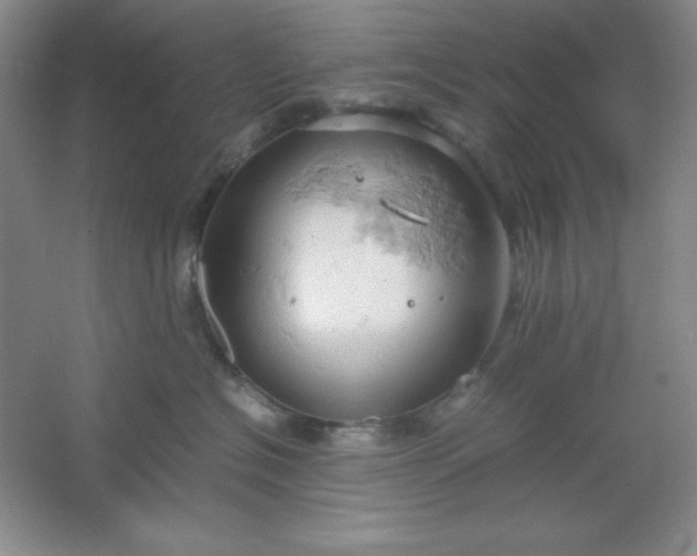 X0000061740574200512161653