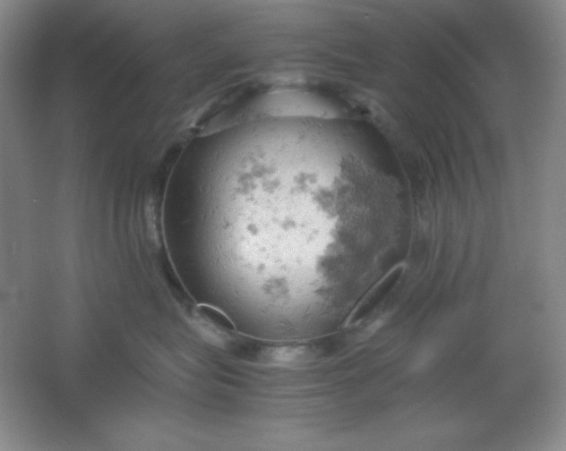 X0000061740575200512161653