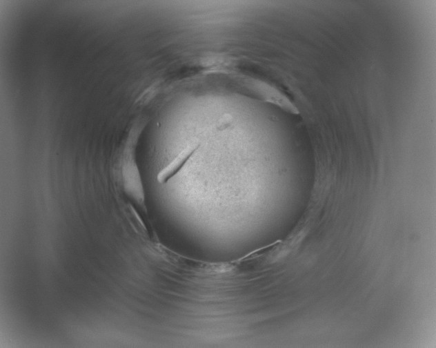 X0000061740576200512161653