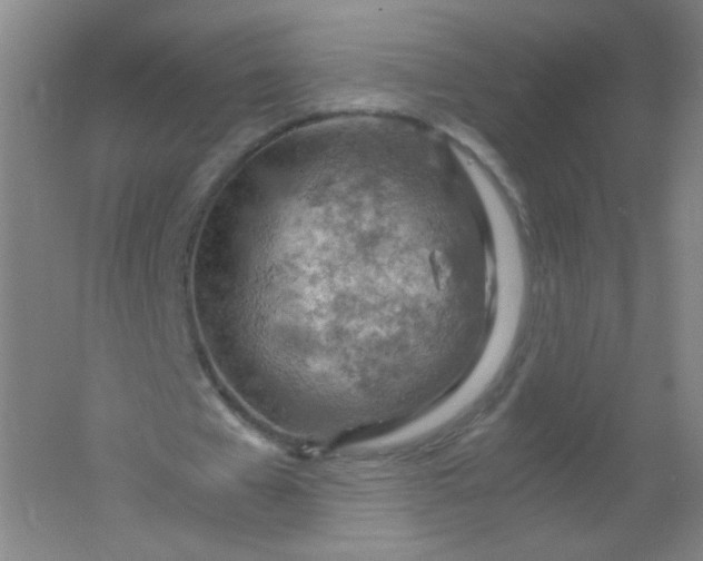 X0000061740577200512161652