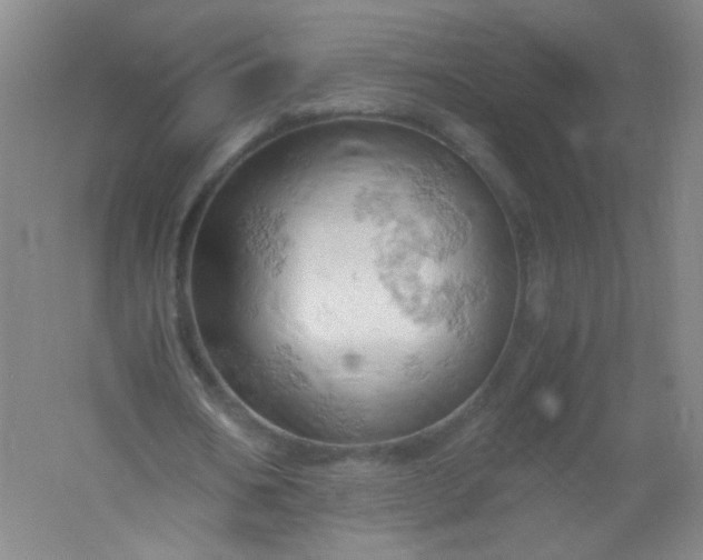 X0000061740578200512161652