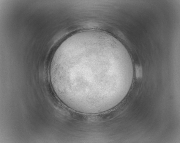 X0000061740579200512161652